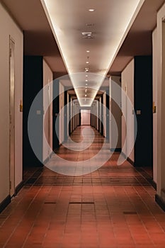 daytime passage(way, path, passageway, hallway, aisle) in a hotel room