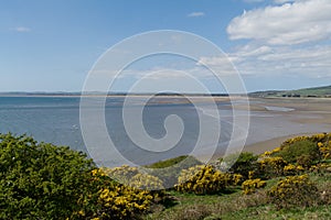 Daytime shot of Luce bay in Dumfries and Galloway surrounded with trees and blue sky above