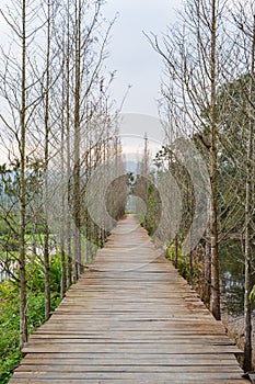 Daytime view of the country side landscape around Nantou area