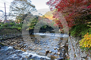Daytime view of the fall color around Takano River photo