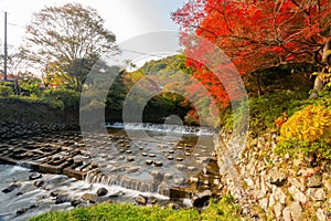 Daytime view of the fall color around Takano River photo