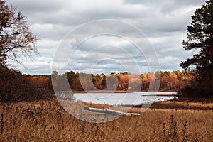 Daytime view of a small lake surrounded with colorful trees on a fall day