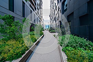 Daytime view of street in the Oslo business center. Modern architecture. Norway