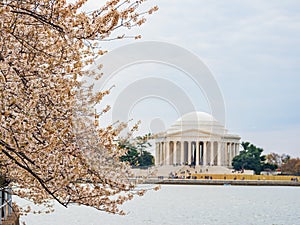 Daytime view of The Thomas Jefferson Memorial