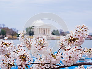 Daytime view of The Thomas Jefferson Memorial