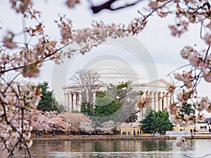 Daytime view of The Thomas Jefferson Memorial