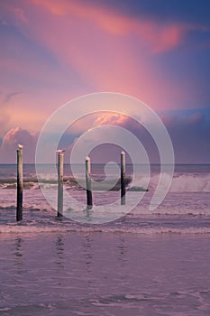 Daytona Beach Florida Oceanview birds and sunset