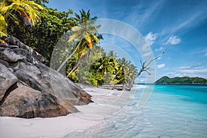 Daytrip to Therese Island. Mahe, Seychelles Coconut palm trees on tropical secluded sandy beach, blue lagoon against a