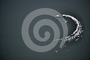 Dazzling backwash of small boat