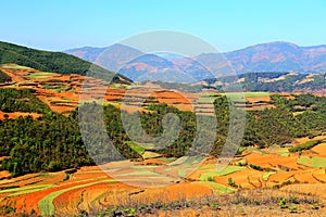 The Dazzling Dongchuan Red Soil Scenic Area