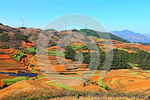 The Dazzling Dongchuan Red Soil Scenic Area