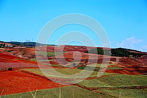 The Dazzling Dongchuan Red Soil Scenic Area