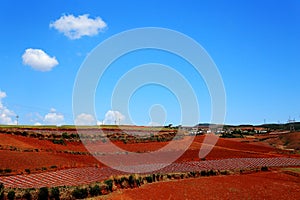 The Dazzling Dongchuan Red Soil Scenic Area