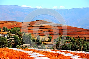 The Dazzling Dongchuan Red Soil Scenic Area