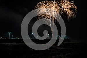 Dazzling nighttime sky illuminated by vibrant, exploding fireworks