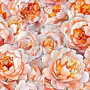 Dazzling Peony Bloom Extravaganza: A Tapestry of Floral Elegance photo