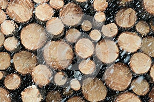 Heavy Snow Falling in Front of Large Stack of Logs
