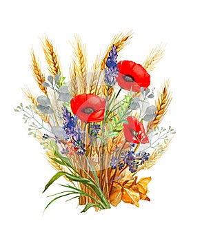 Bouquet of red poppies with wheat ears and blue cornflower flowers, wild flowers, watercolor illustration, A