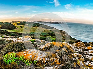 view of the north coast of Menorca photo