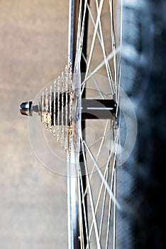 Ddetail of the rear wheel