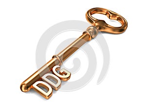 DDG - Golden Key on White Background.