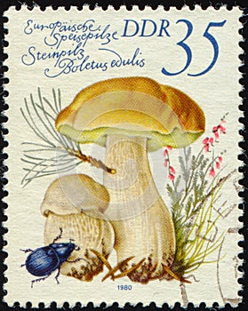 DDR - CIRCA 1980: stamp printed in GDR (German Democratic Republic) shows mushroom Cep (Boletus edulis)