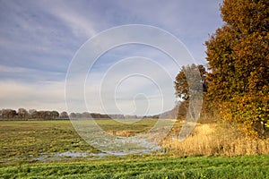 De Diepen nature reserve near Milsbeek