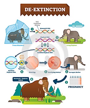 De-extinction infographic vector illustration. Process with animal hybrids.