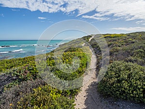 De Hoop Nature Reserve - Walking path leading through the sand dunes at the ocean with coastal vegetation