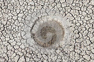 De-na-zin wilderness area, Bisti badlands,  New Mexico