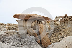 De-na-zin wilderness area, Bisti badlands,  New Mexico