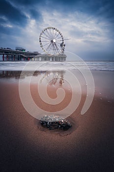 De Pier, Beach with a Ferris wheel in Den Haag, Hague, Netherlands