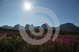 De syv sÃÂ¸stre - The seven sisters in Norway