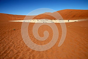 Dead acacia trees at Dead Vlei, Namib desert