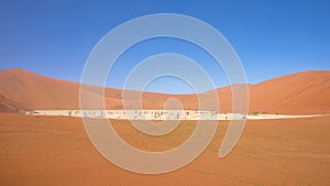 Dead camelthorn tree against dunes and blue sky in Deadvlei, Sossusvlei. Namib-Naukluft National Park, Namibia.