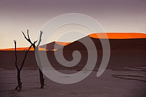 Dead camelthorn trees against red dunes and sunset sky in Deadvlei, Sossusvlei, Namibia