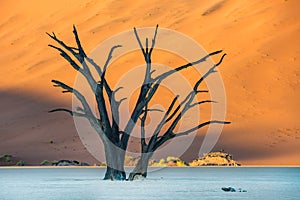 Dead Camelthorn Trees and red dunes in Deadvlei, Sossusvlei, Namib-Naukluft National Park, Namibia