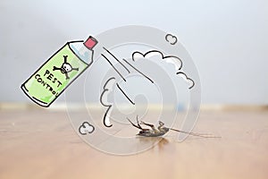 Dead cockroach on floor , pest control concept