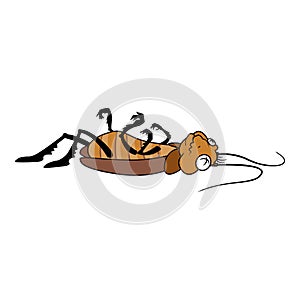 Dead cockroach insect icon cartoon vector. Home bug