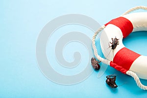 Dead cockroaches and lifebuoy on blue. Insect companies concept prevents house-threatening insects. Pest control