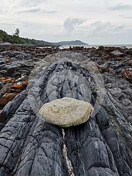 Dead coral on amazing rock formation in Kuala Sedili Besar, Johor, Malaysia. photo