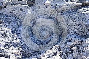 Dead Coral Reef close up