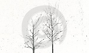 Dead dried tree global warming ecology disaster monochrome concept of bare branches silhouette on white noisy background