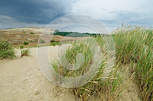 Dead Dunes in Neringa, Lithuania.