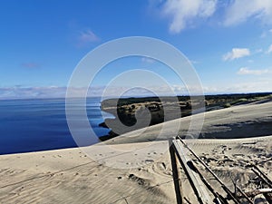 Dead dunes in Preila