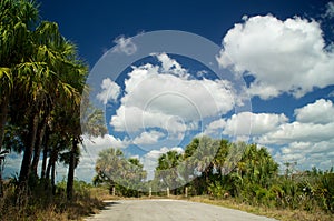 Dead end road in everglades florida