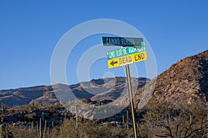 dead end sign at the desert