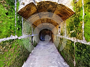 Dead-end tunnel with walls overgrown with moss