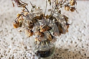 Dead flowers , White background