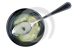 Dead fly in the bowl of soup. White background